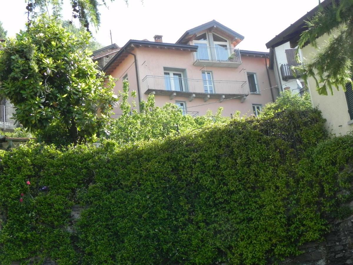Vista