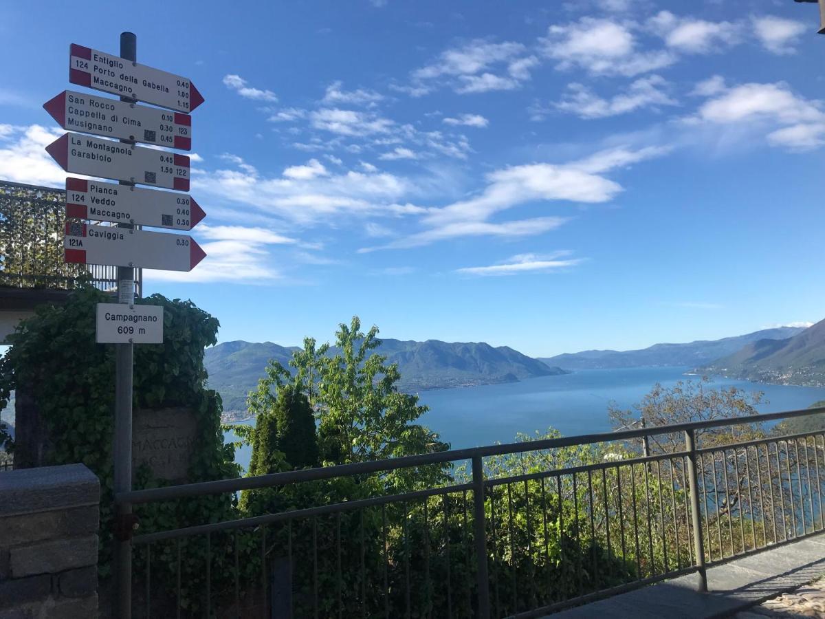 Vista